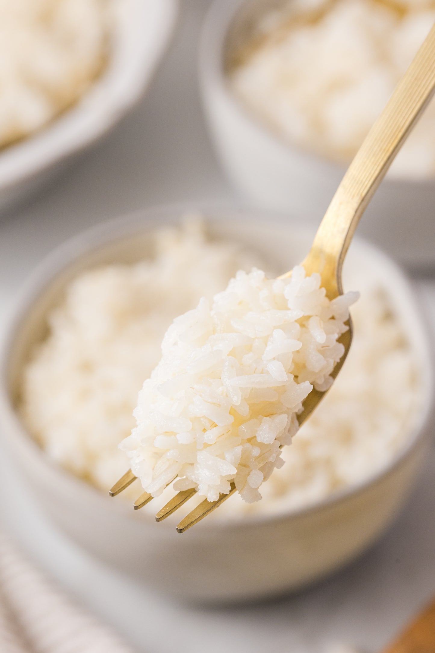 Instant Pot White Rice Recipe