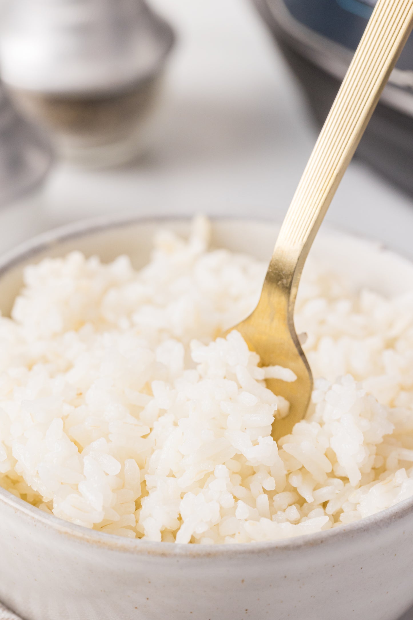 Instant Pot White Rice Recipe